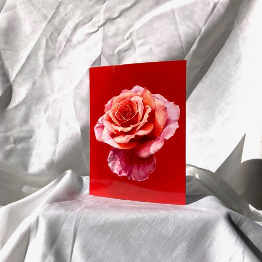 Blooming Rose Greeting card